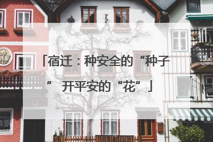 宿迁：种安全的“种子” 开平安的“花”
