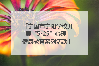 宁国市宁阳学校开展“5•25”心理健康教育系列活动