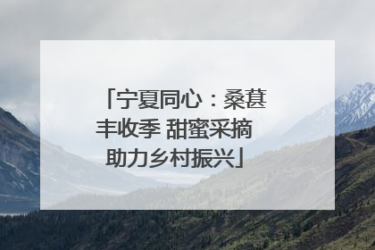 宁夏同心：桑葚丰收季 甜蜜采摘助力乡村振兴