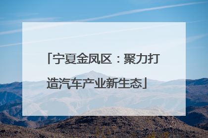 宁夏金凤区：聚力打造汽车产业新生态