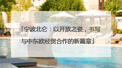 宁波北仑：以开放之姿，书写与中东欧经贸合作的新篇章