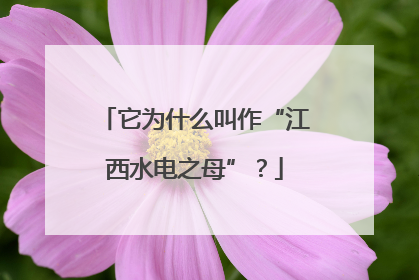 它为什么叫作“江西水电之母”？