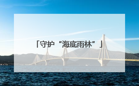 守护“海底雨林”