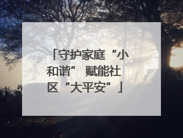 守护家庭“小和谐” 赋能社区“大平安”