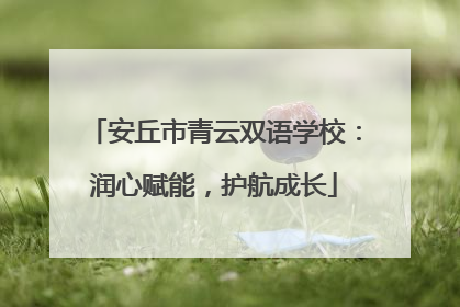 安丘市青云双语学校：润心赋能，护航成长