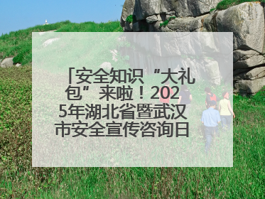 安全知识“大礼包”来啦！2025年湖北省暨武汉市安全宣传咨询日活动在汉举行