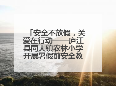 安全不放假，关爱在行动——庐江县同大镇农林小学开展暑假前安全教育大家访