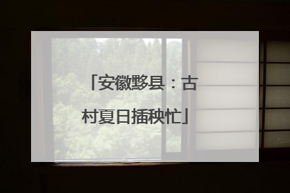 安徽黟县：古村夏日插秧忙