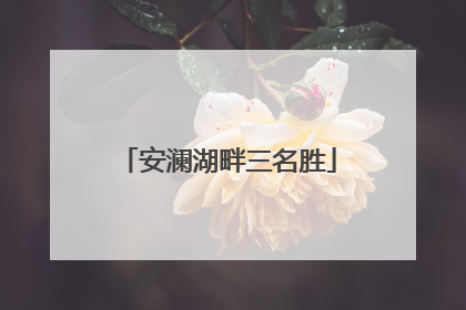 安澜湖畔三名胜