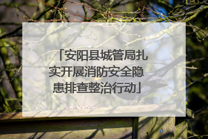 安阳县城管局扎实开展消防安全隐患排查整治行动
