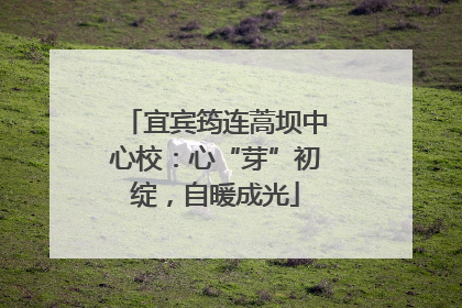 宜宾筠连蒿坝中心校：心“芽”初绽，自暖成光