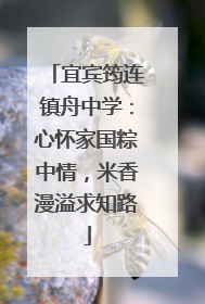 宜宾筠连镇舟中学：心怀家国粽中情，米香漫溢求知路