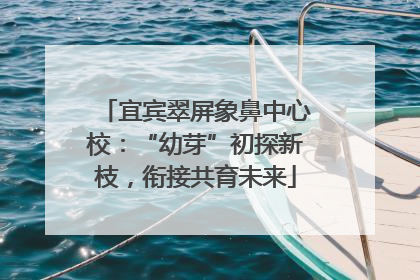 宜宾翠屏象鼻中心校：“幼芽”初探新枝，衔接共育未来