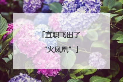 宜职飞出了“火凤凰”