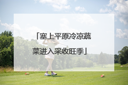 塞上平原冷凉蔬菜进入采收旺季