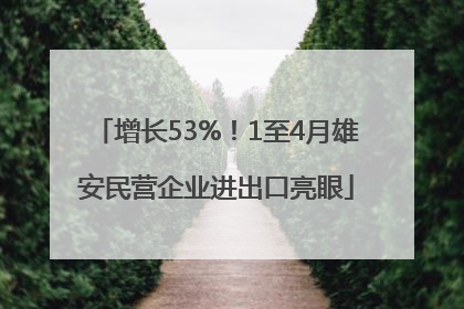 增长53%！1至4月雄安民营企业进出口亮眼