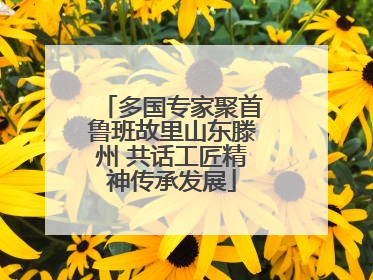 多国专家聚首鲁班故里山东滕州 共话工匠精神传承发展