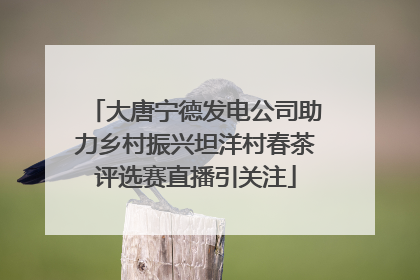 大唐宁德发电公司助力乡村振兴坦洋村春茶评选赛直播引关注