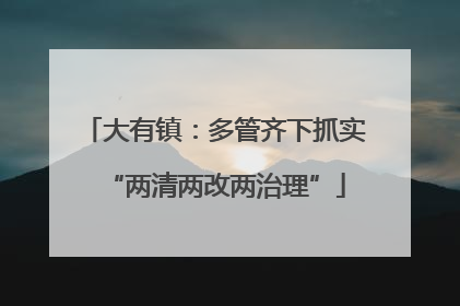 大有镇：多管齐下抓实“两清两改两治理”