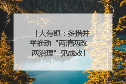 大有镇：多措并举推动“两清两改两治理”见成效