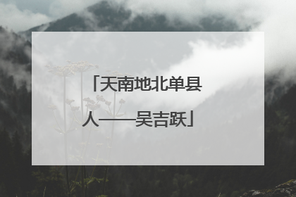 天南地北单县人——吴吉跃