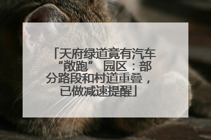 天府绿道竟有汽车“敞跑” 园区：部分路段和村道重叠，已做减速提醒