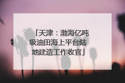 天津：渤海亿吨级油田海上平台陆地建造工作收官