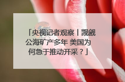 央视记者观察丨觊觎公海矿产多年 美国为何急于推动开采？