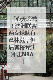 心无旁骛！澳洲联赛两支球队有意林葳，但后者将专注冲击NBA