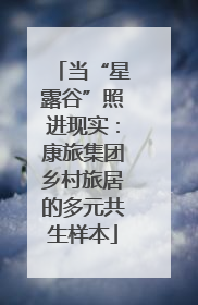 当“星露谷”照进现实：康旅集团乡村旅居的多元共生样本