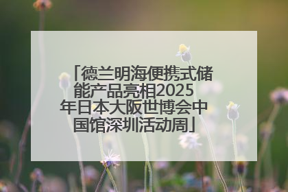 德兰明海便携式储能产品亮相2025年日本大阪世博会中国馆深圳活动周