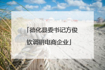 德化县委书记方俊钦调研电商企业