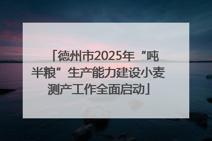 德州市2025年“吨半粮”生产能力建设小麦测产工作全面启动