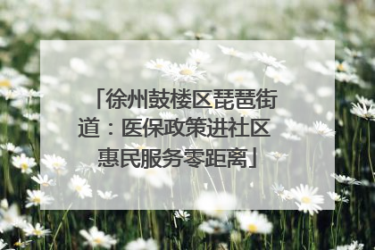 徐州鼓楼区琵琶街道：医保政策进社区 惠民服务零距离