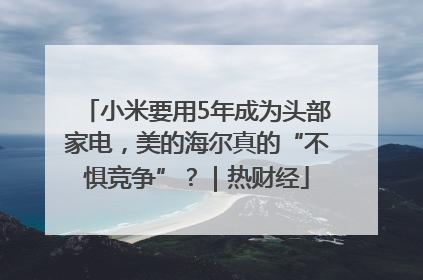 小米要用5年成为头部家电，美的海尔真的“不惧竞争”？｜热财经