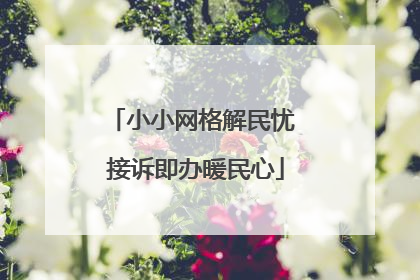 小小网格解民忧 接诉即办暖民心