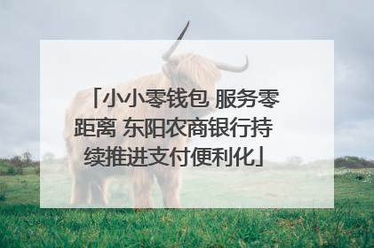 小小零钱包 服务零距离 东阳农商银行持续推进支付便利化