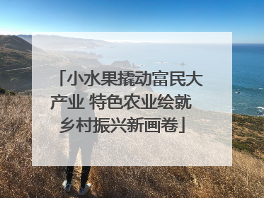 小水果撬动富民大产业 特色农业绘就乡村振兴新画卷
