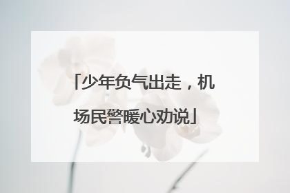 少年负气出走，机场民警暖心劝说