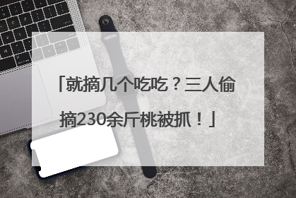 就摘几个吃吃？三人偷摘230余斤桃被抓！