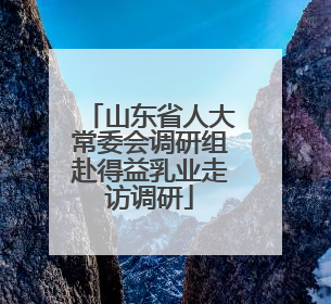 山东省人大常委会调研组赴得益乳业走访调研