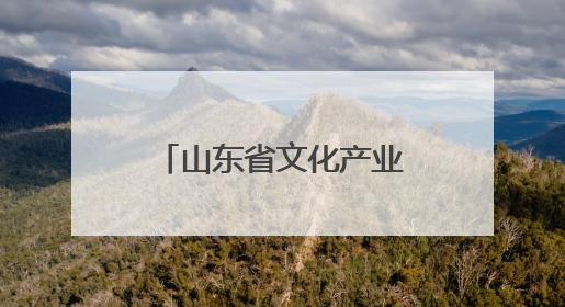 山东省文化产业发展协会赴山东文化产业职业学院开展考察交流活动