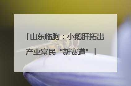 山东临朐：小鹅肝拓出产业富民“新赛道”