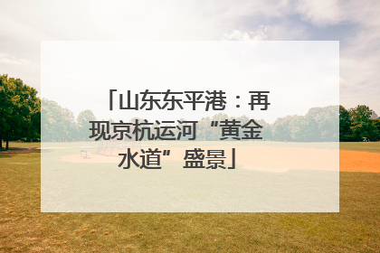 山东东平港：再现京杭运河“黄金水道”盛景
