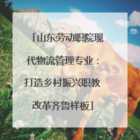 山东劳动职院现代物流管理专业：打造乡村振兴职教改革齐鲁样板