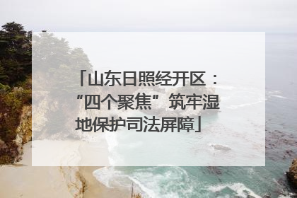 山东日照经开区：“四个聚焦”筑牢湿地保护司法屏障