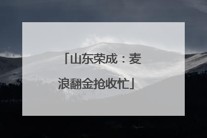 山东荣成：麦浪翻金抢收忙