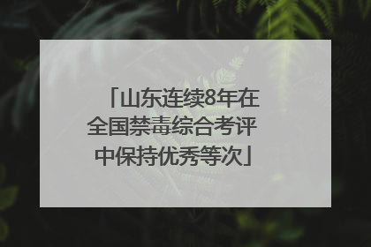 山东连续8年在全国禁毒综合考评中保持优秀等次