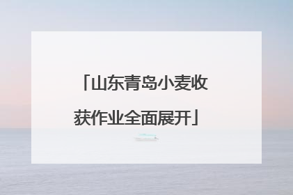 山东青岛小麦收获作业全面展开