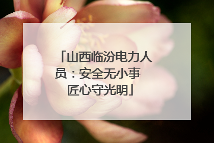 山西临汾电力人员：安全无小事 匠心守光明